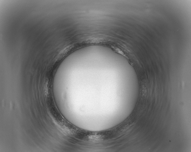 X0000077990216200611171803