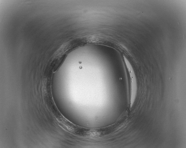 X0000077990217200611171803