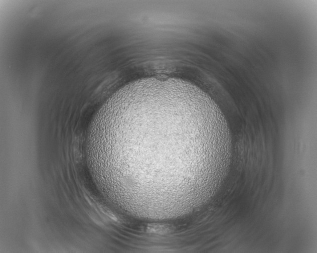 X0000077990218200611171803