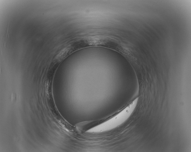 X0000077990219200611171803