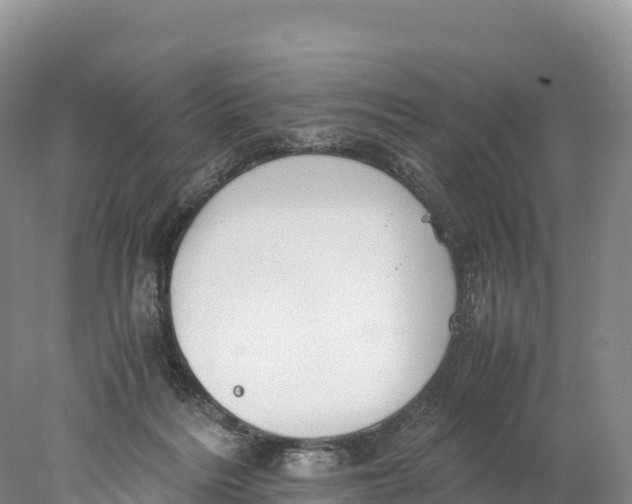 X0000077990220200611171803