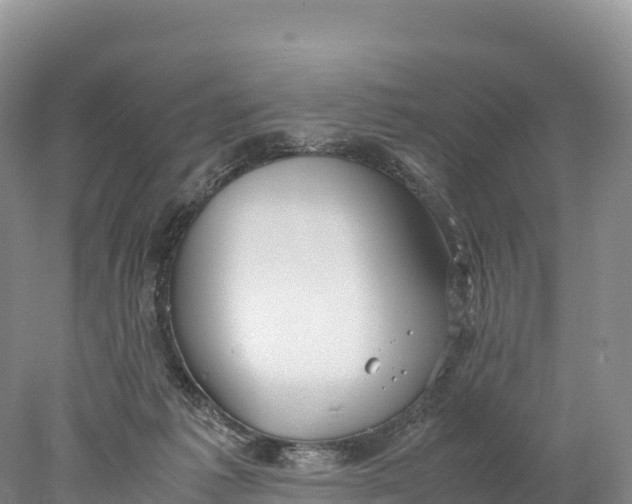 X0000077990221200611171803