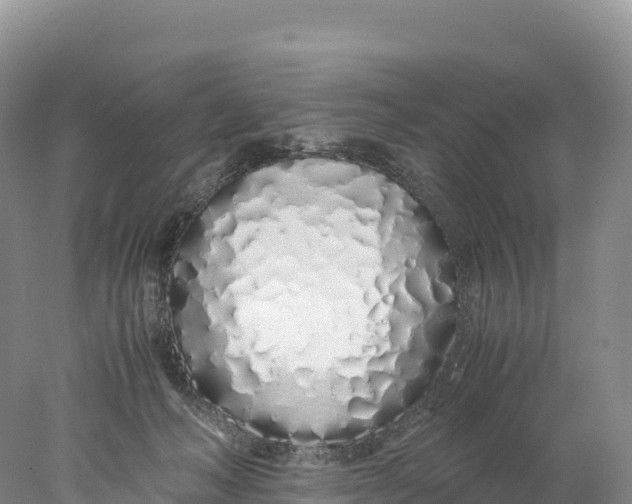 X0000077990222200611171803