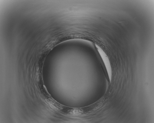 X0000077990223200611171803