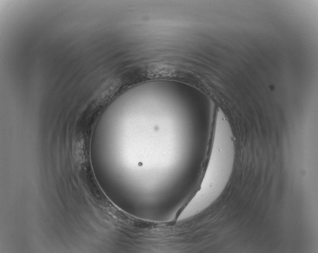 X0000077990224200611171803