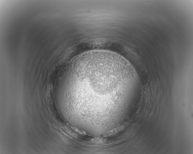 X0000077990225200611171803