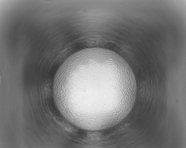 X0000077990226200611171803