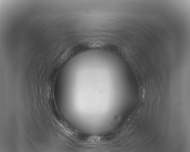 X0000077990227200611171803