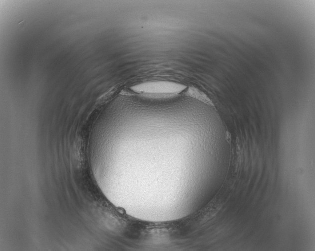 X0000077990228200611171803