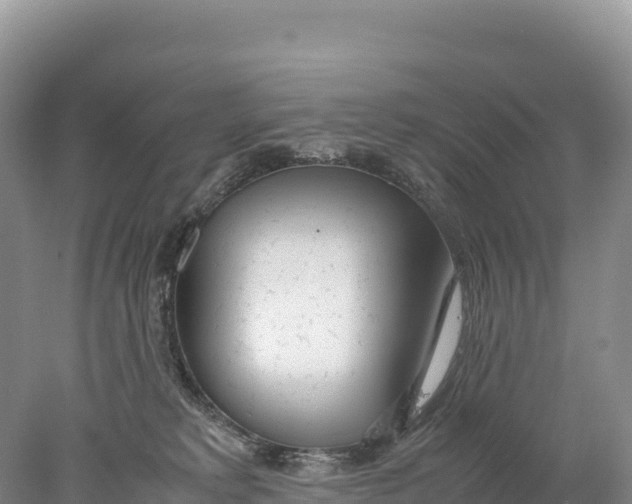 X0000077990229200611171803