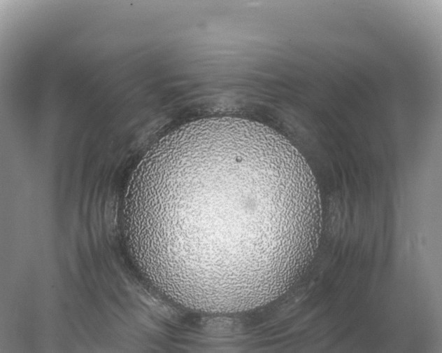 X0000077990230200611171803