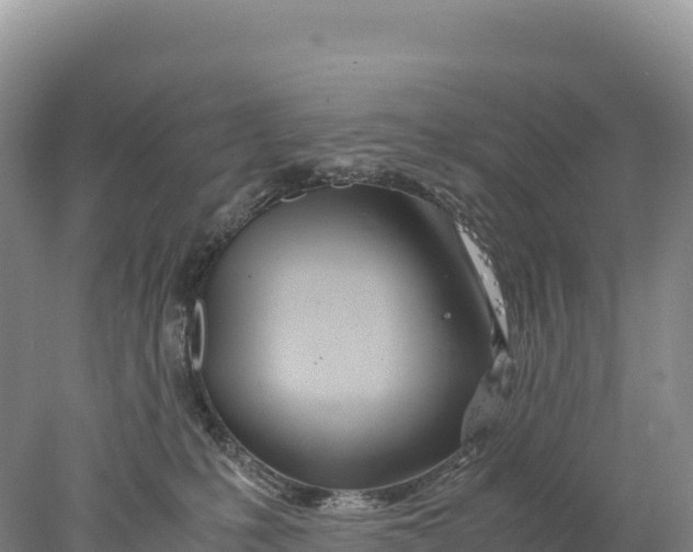 X0000077990231200611171803