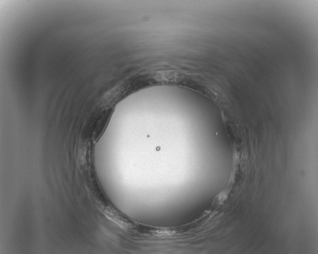 X0000077990233200611171803