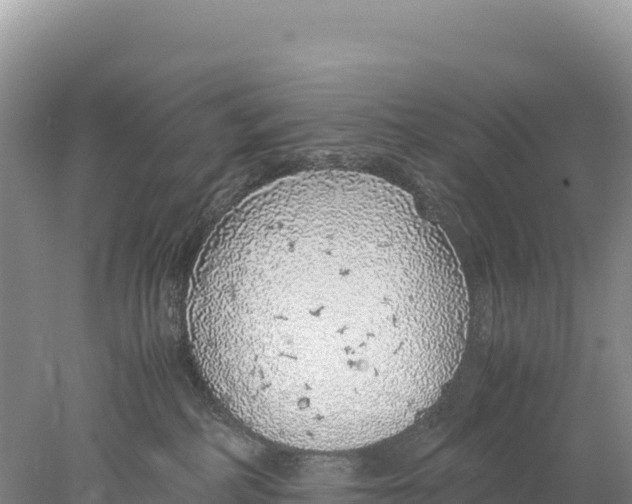 X0000077990234200611171803