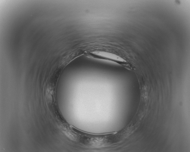 X0000077990235200611171802