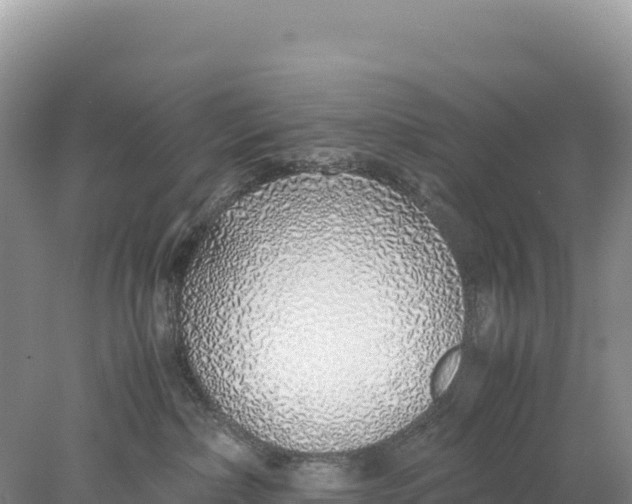 X0000077990236200611171802