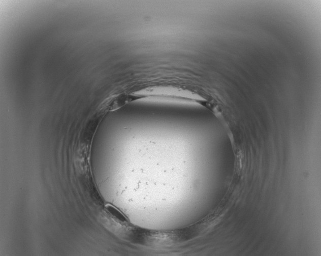 X0000077990237200611171802