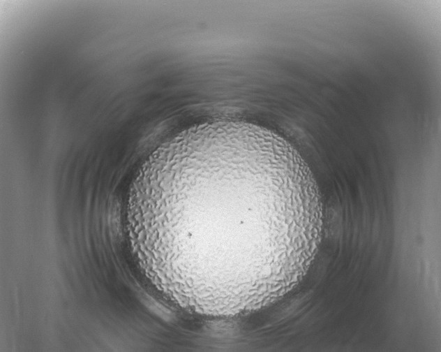 X0000077990238200611171802