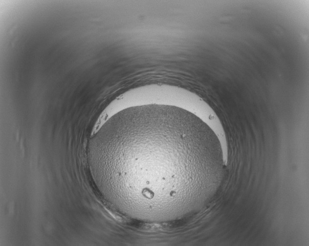 X0000077990239200611171802