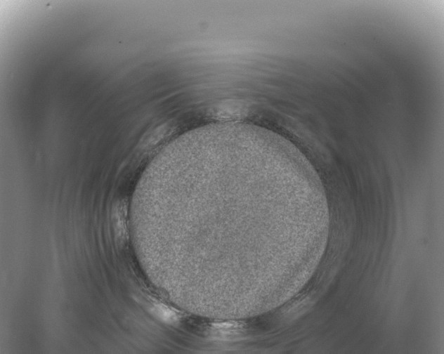 X0000077990240200611171802