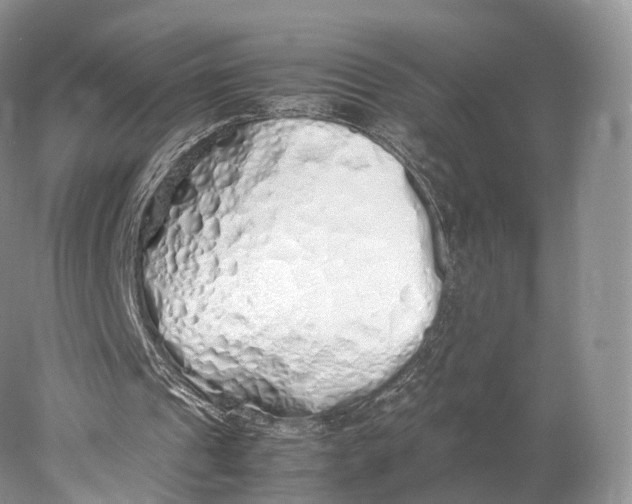 X0000077990241200611171802