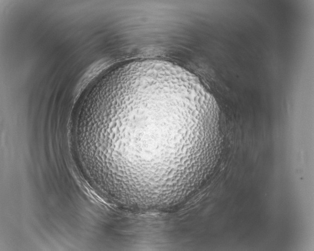 X0000077990242200611171802