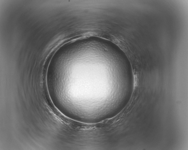 X0000077990243200611171802