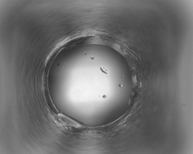 X0000077990244200611171802