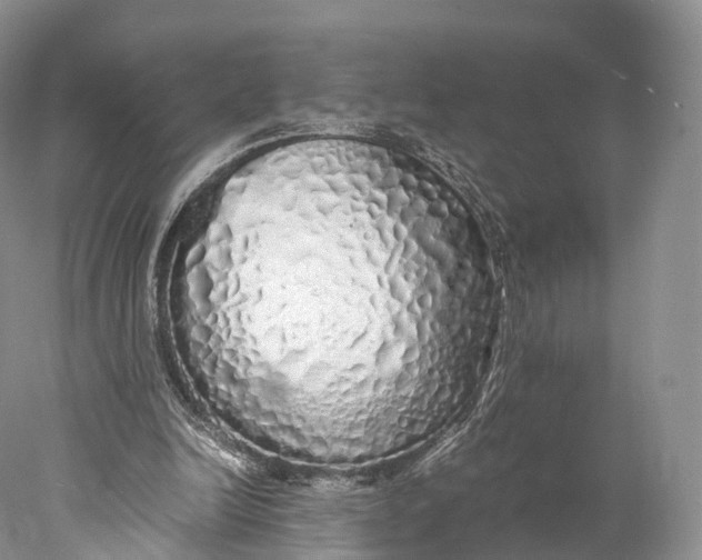 X0000077990246200611171802