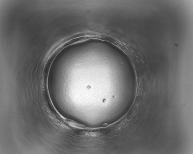 X0000077990247200611171802