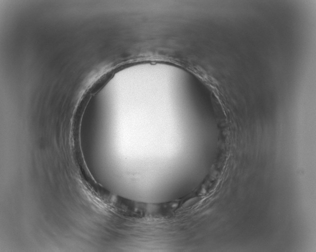 X0000077990248200611171802