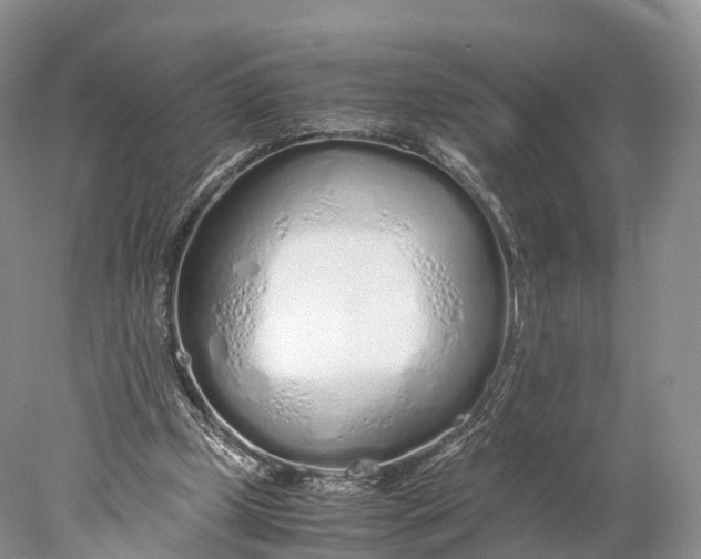 X0000077990249200611171802