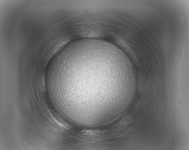 X0000077990251200611171802