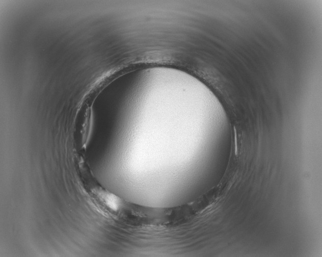 X0000077990252200611171802