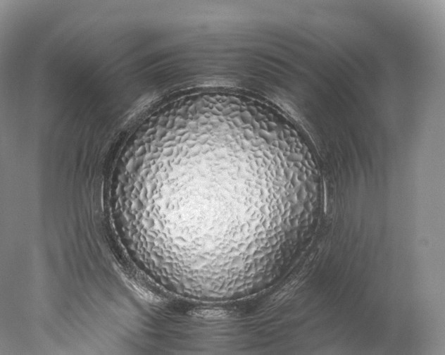 X0000077990253200611171802