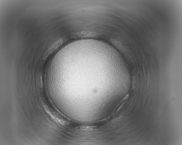 X0000077990254200611171802