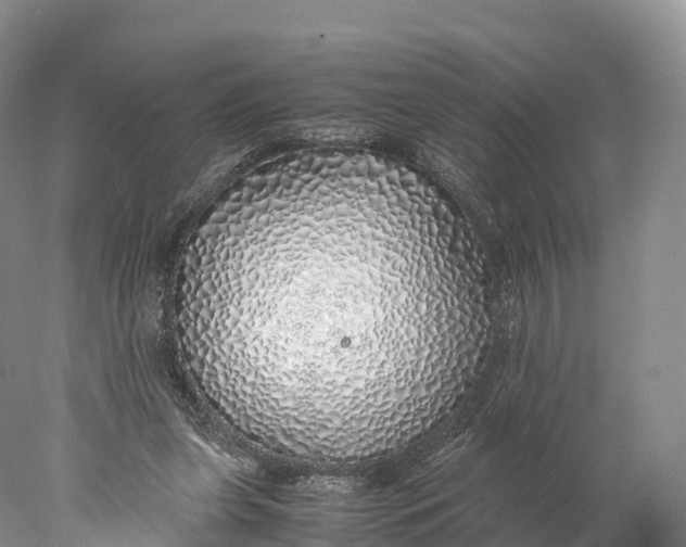 X0000077990255200611171802