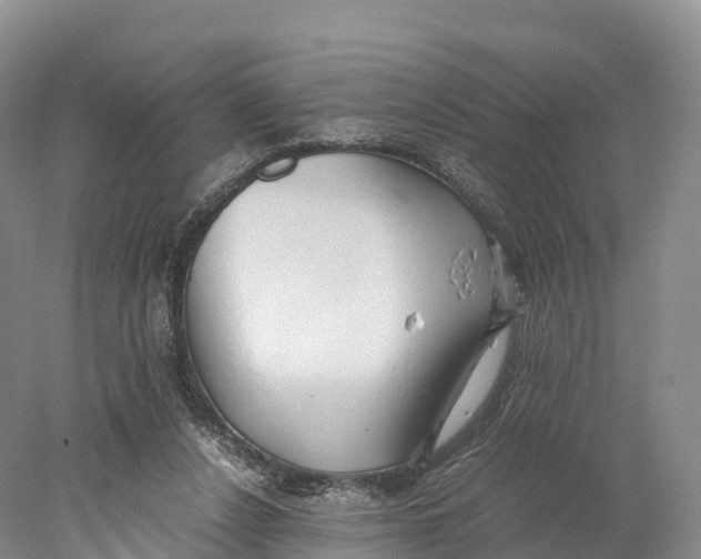 X0000077990256200611171802