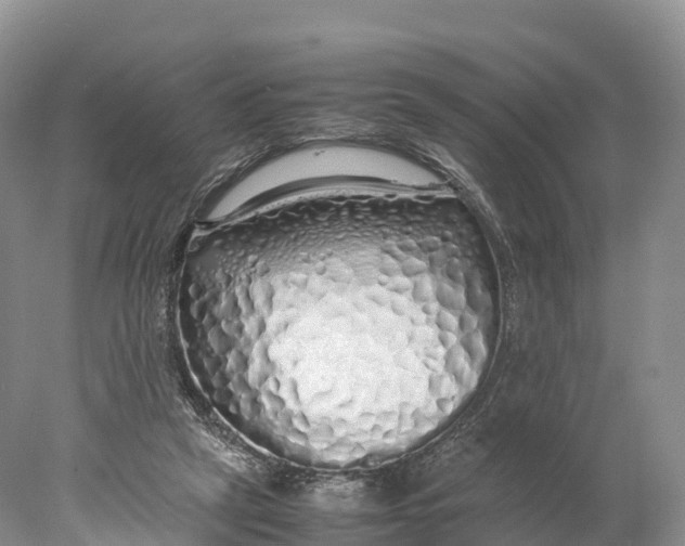 X0000077990257200611171802