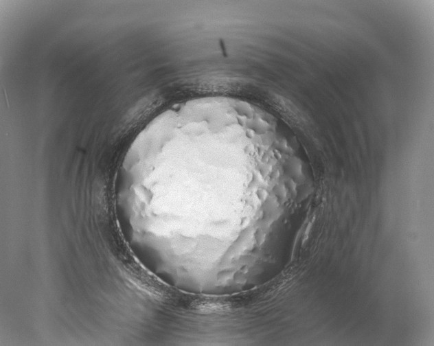 X0000077990258200611171802