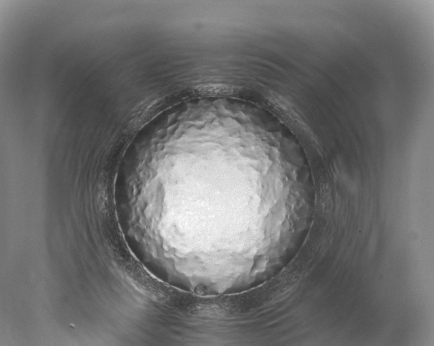 X0000077990259200611171802