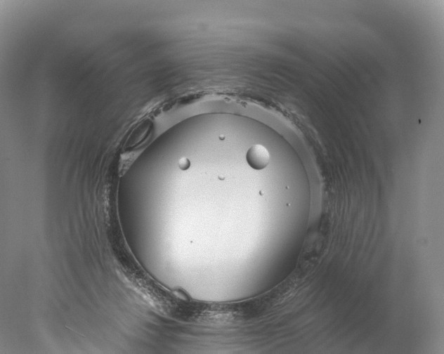 X0000077990260200611171802