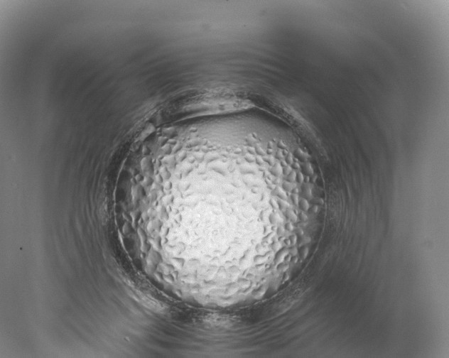 X0000077990261200611171802