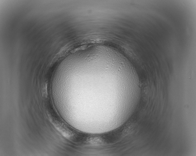 X0000077990262200611171802