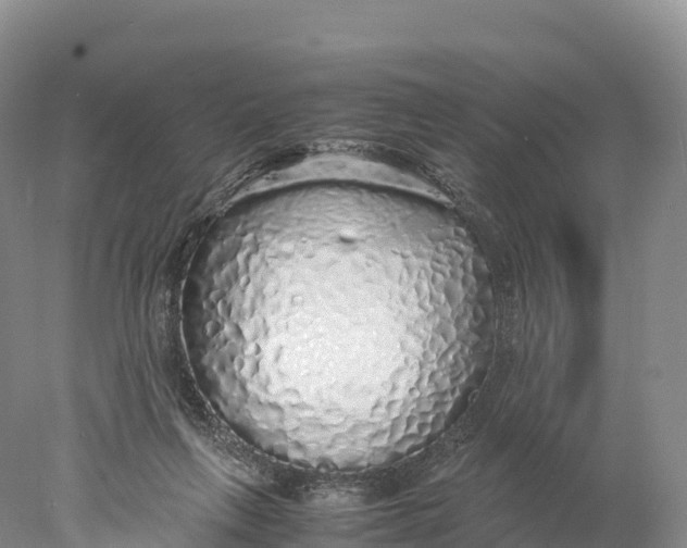 X0000077990263200611171802