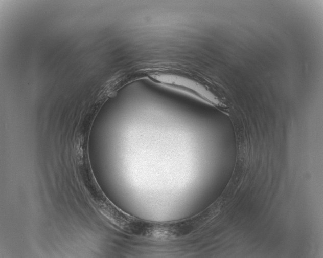 X0000077990264200611171802