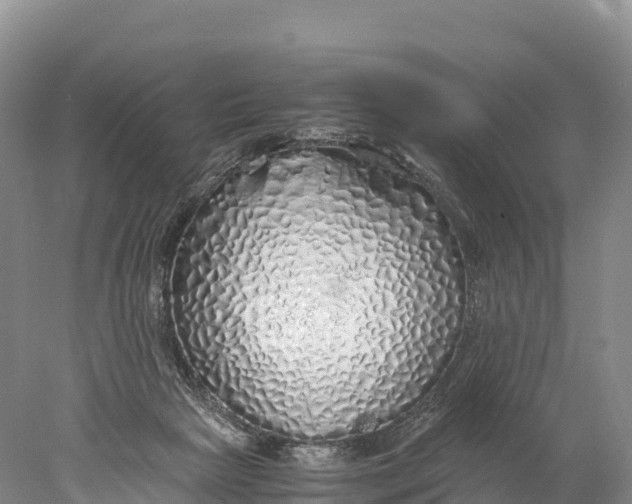 X0000077990265200611171802