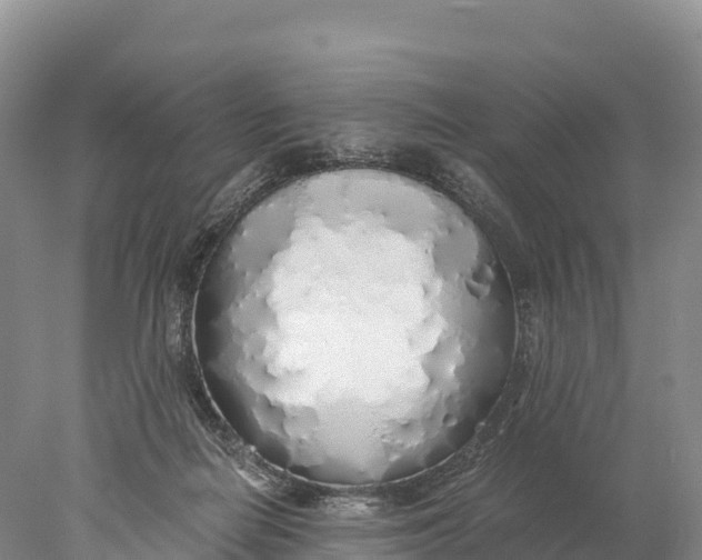 X0000077990266200611171802