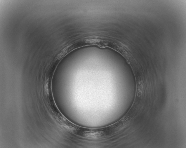 X0000077990267200611171802