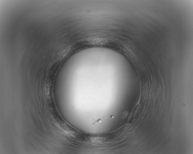 X0000077990268200611171802